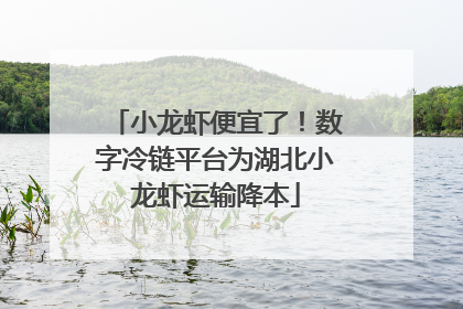 小龙虾便宜了！数字冷链平台为湖北小龙虾运输降本