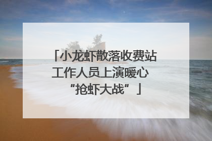 小龙虾散落收费站 工作人员上演暖心“抢虾大战”