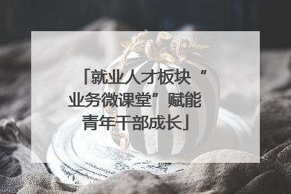 就业人才板块“业务微课堂”赋能青年干部成长