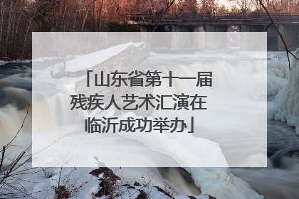 山东省第十一届残疾人艺术汇演在临沂成功举办