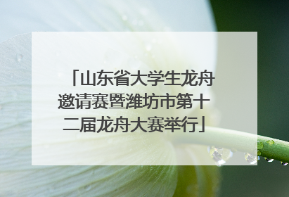 山东省大学生龙舟邀请赛暨潍坊市第十二届龙舟大赛举行