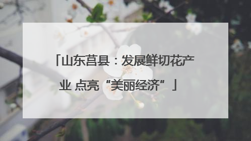 山东莒县：发展鲜切花产业 点亮“美丽经济”