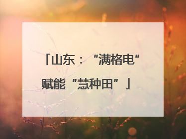 山东：“满格电”赋能“慧种田”