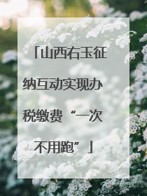 山西右玉征纳互动实现办税缴费“一次不用跑”