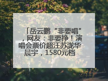 岳云鹏“非要唱”，网友：非要挣！演唱会票价超汪苏泷华晨宇，1580元档20秒抢空