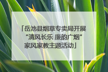 岳池县烟草专卖局开展“清风长乐 廉韵广烟”家风家教主题活动