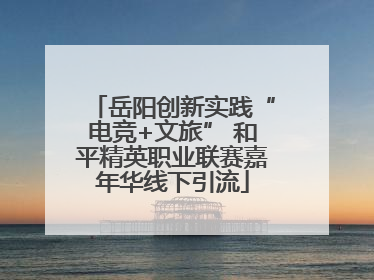 岳阳创新实践“电竞+文旅” 和平精英职业联赛嘉年华线下引流