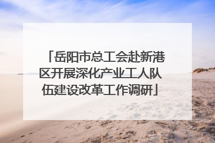 岳阳市总工会赴新港区开展深化产业工人队伍建设改革工作调研