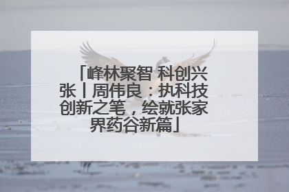 峰林聚智 科创兴张丨周伟良：执科技创新之笔，绘就张家界药谷新篇