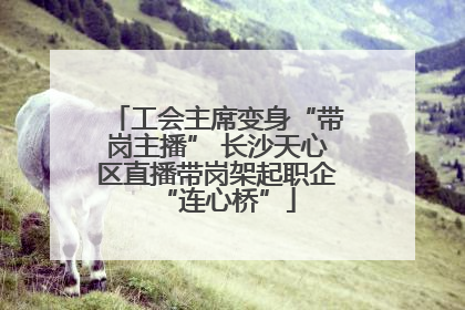 工会主席变身“带岗主播” 长沙天心区直播带岗架起职企“连心桥”