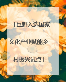 巨野入选国家文化产业赋能乡村振兴试点
