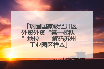 巩固国家级经开区外贸外资“第一梯队”地位——解码苏州工业园区样本
