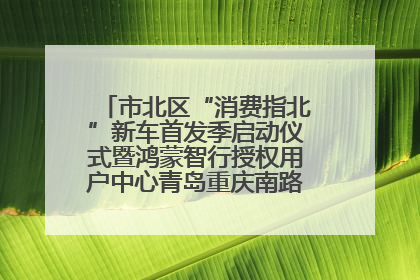 市北区“消费指北”新车首发季启动仪式暨鸿蒙智行授权用户中心青岛重庆南路开业盛典成功举办