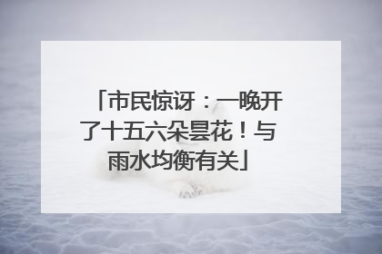 市民惊讶：一晚开了十五六朵昙花！与雨水均衡有关