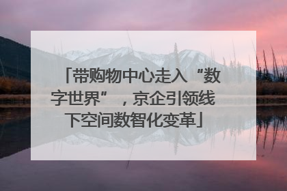 带购物中心走入“数字世界”，京企引领线下空间数智化变革