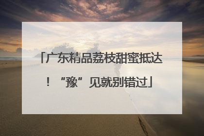 广东精品荔枝甜蜜抵达！“豫”见就别错过