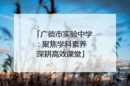 广德市实验中学：聚焦学科素养 深耕高效课堂