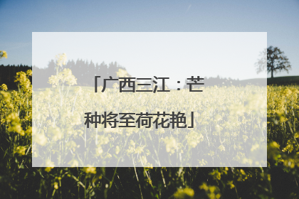 广西三江：芒种将至荷花艳