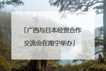 广西与日本经贸合作交流会在南宁举办