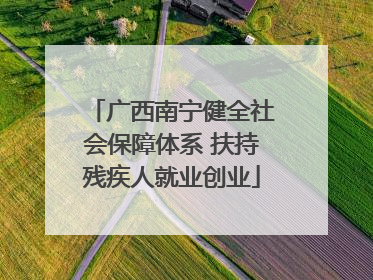广西南宁健全社会保障体系 扶持残疾人就业创业