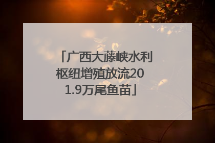 广西大藤峡水利枢纽增殖放流201.9万尾鱼苗