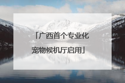 广西首个专业化宠物候机厅启用