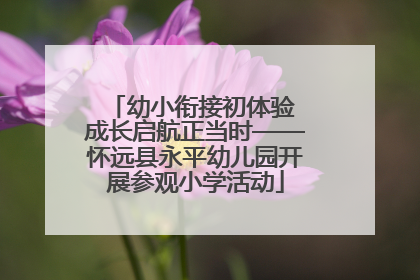 幼小衔接初体验 成长启航正当时——怀远县永平幼儿园开展参观小学活动