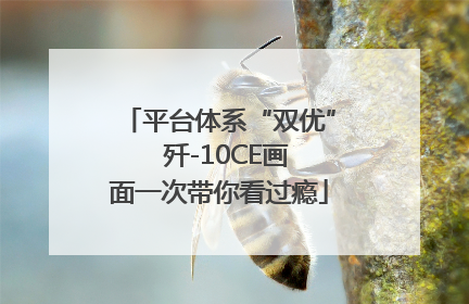 平台体系“双优”  歼-10CE画面一次带你看过瘾