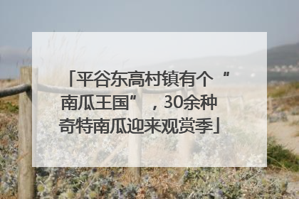 平谷东高村镇有个“南瓜王国”，30余种奇特南瓜迎来观赏季
