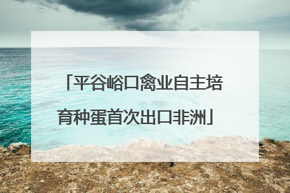 平谷峪口禽业自主培育种蛋首次出口非洲