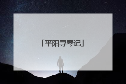 平阳寻琴记