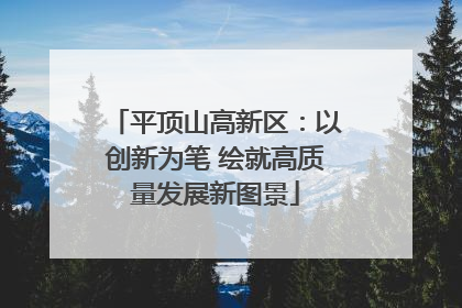 平顶山高新区：以创新为笔 绘就高质量发展新图景
