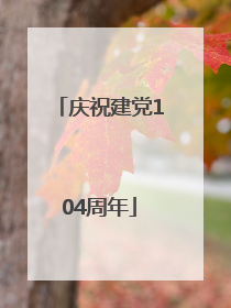庆祝建党104周年