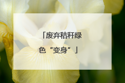 废弃秸秆绿色“变身”