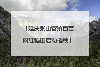 延庆张山营镇百亩网红稻田启动插秧