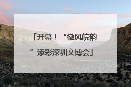 开幕！“徽风皖韵”添彩深圳文博会