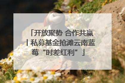 开放聚势 合作共赢丨私募基金抢滩云南蓝莓“时差红利”