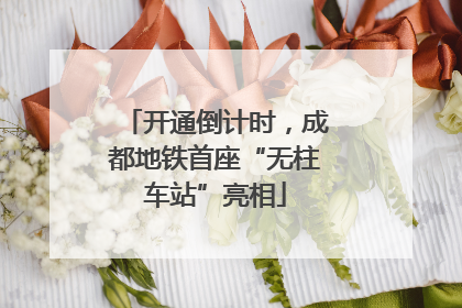 开通倒计时，成都地铁首座“无柱车站”亮相