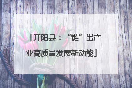 开阳县：“链”出产业高质量发展新动能