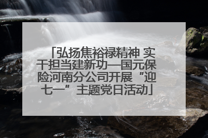 弘扬焦裕禄精神 实干担当建新功—国元保险河南分公司开展“迎七一”主题党日活动