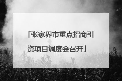 张家界市重点招商引资项目调度会召开