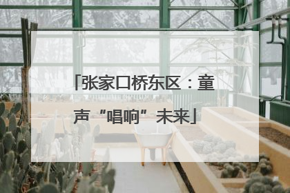 张家口桥东区：童声“唱响”未来