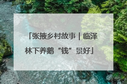 张掖乡村故事｜临泽林下养鹅“钱”景好