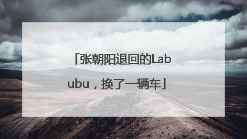 张朝阳退回的Labubu，换了一辆车