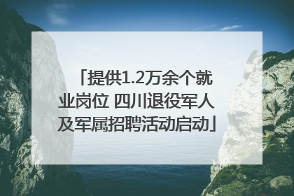 提供1.2万余个就业岗位 四川退役军人及军属招聘活动启动