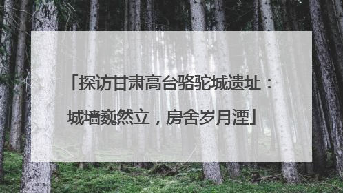 探访甘肃高台骆驼城遗址：城墙巍然立，房舍岁月湮