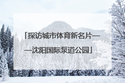 探访城市体育新名片——沈阳国际泵道公园