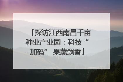 探访江西南昌千亩种业产业园：科技“加码” 果蔬飘香