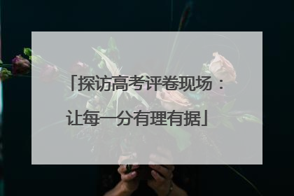 探访高考评卷现场：让每一分有理有据