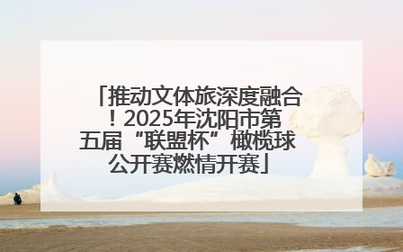 推动文体旅深度融合！2025年沈阳市第五届“联盟杯”橄榄球公开赛燃情开赛
